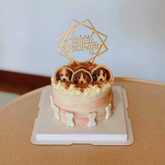 Pet Birthday Cake Workshop