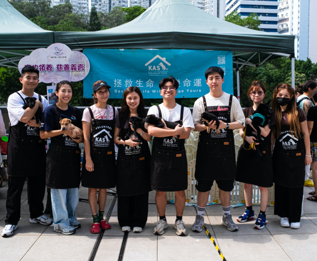 Adoption day with KAS!