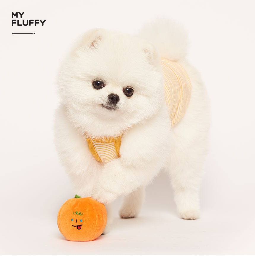 Tangerine Brothers Toy