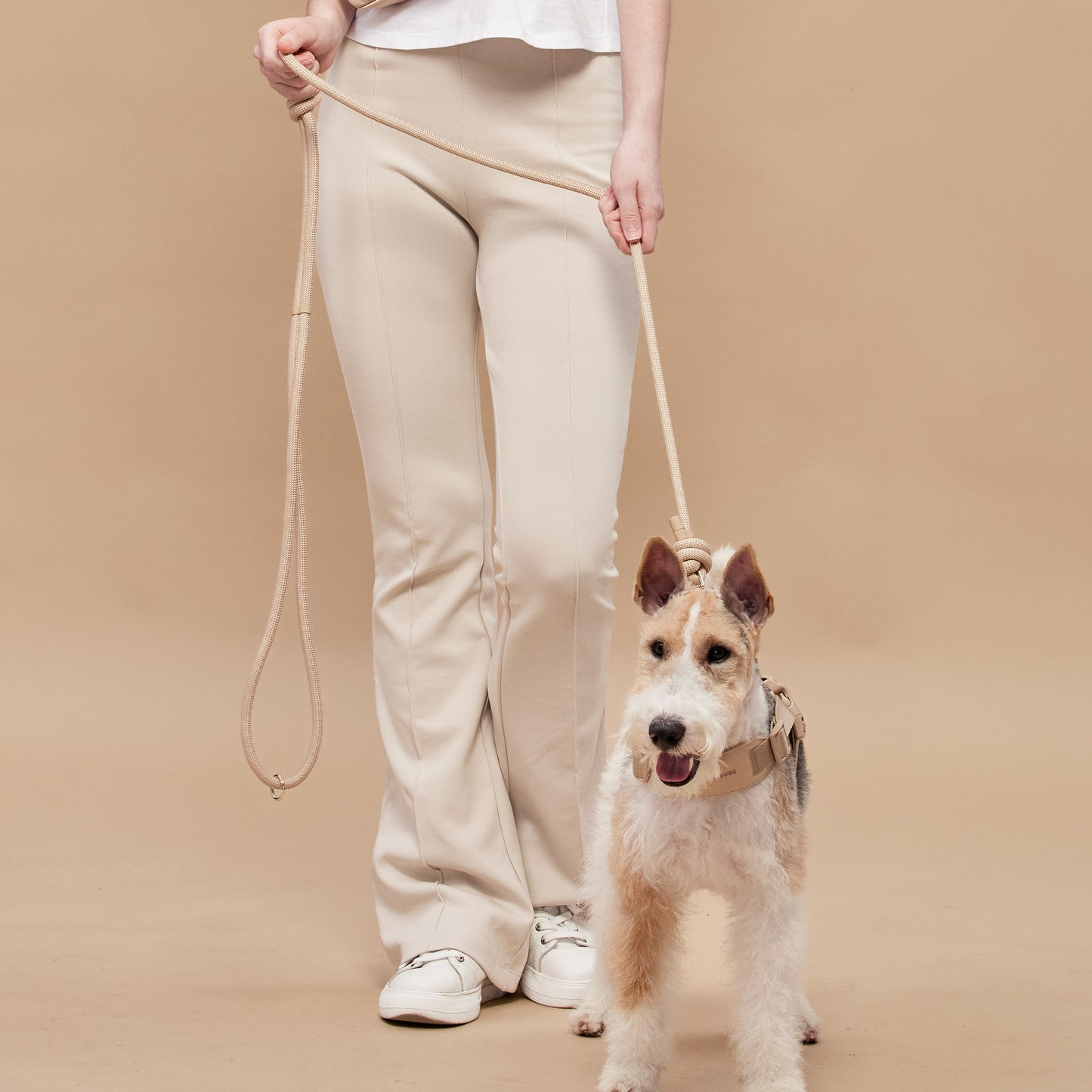 ROVER // harness