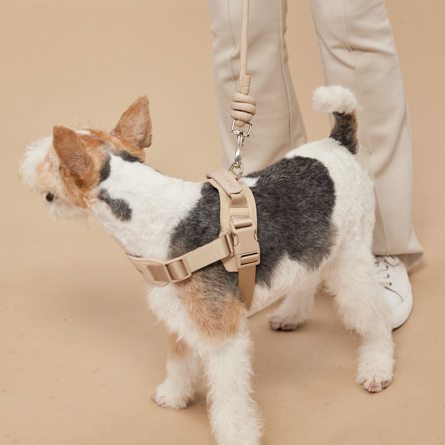ROVER // harness