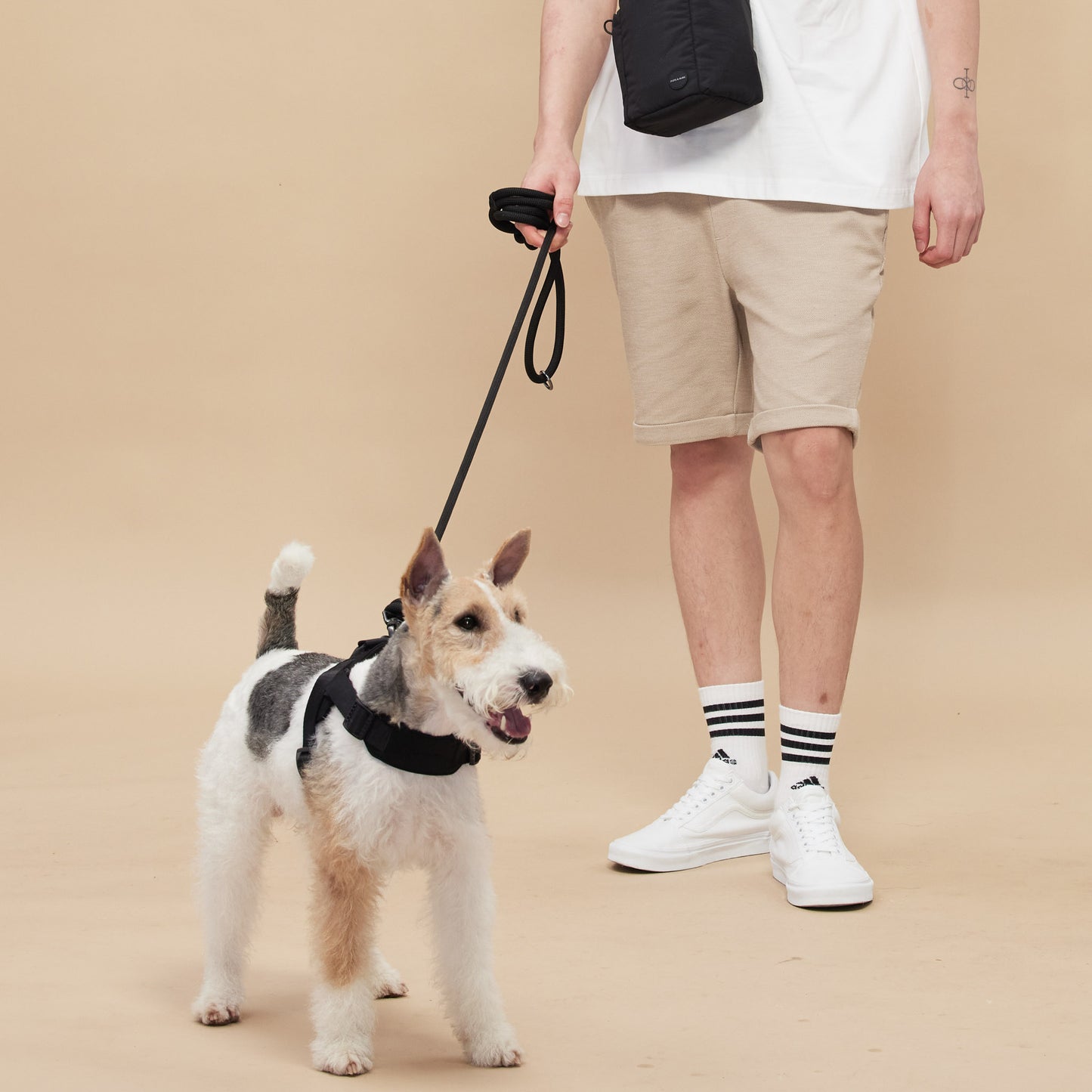 ROVER // harness