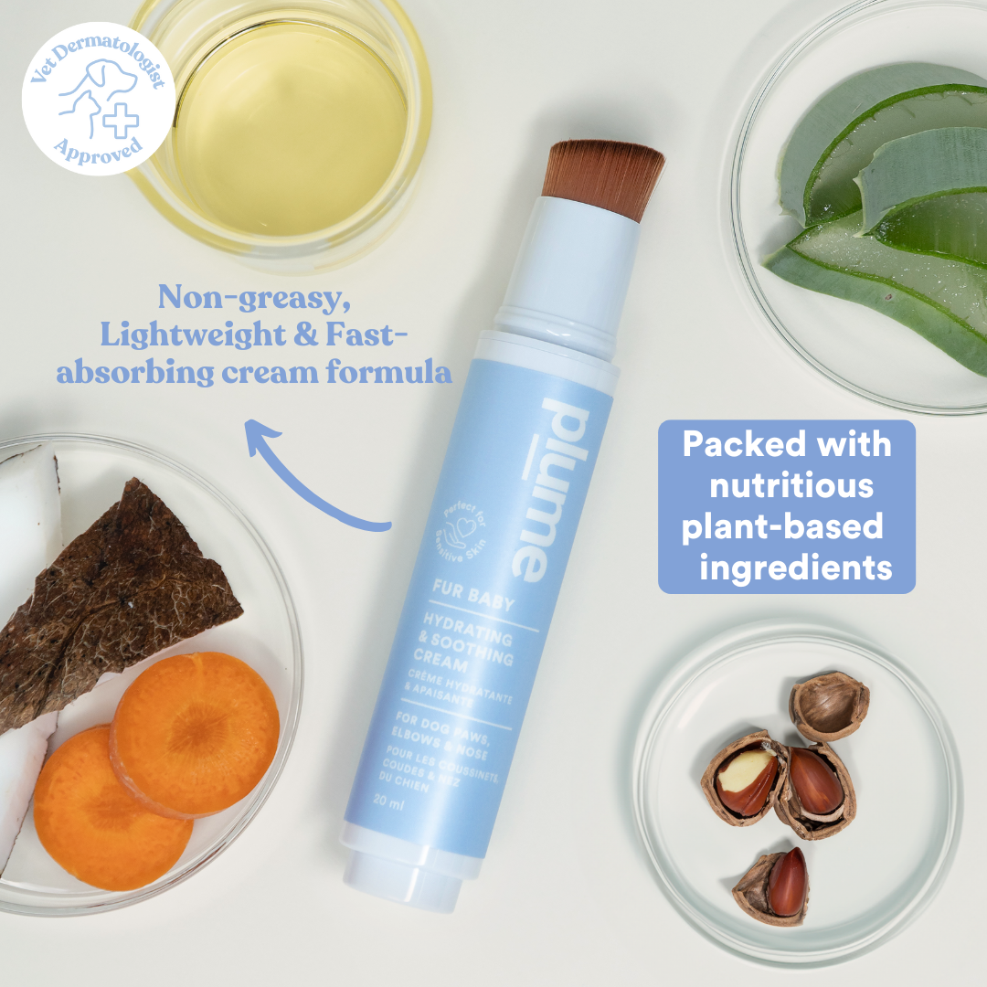 Hydrating & Soothing Cream for Paws, Elbows & Nose // REFILL