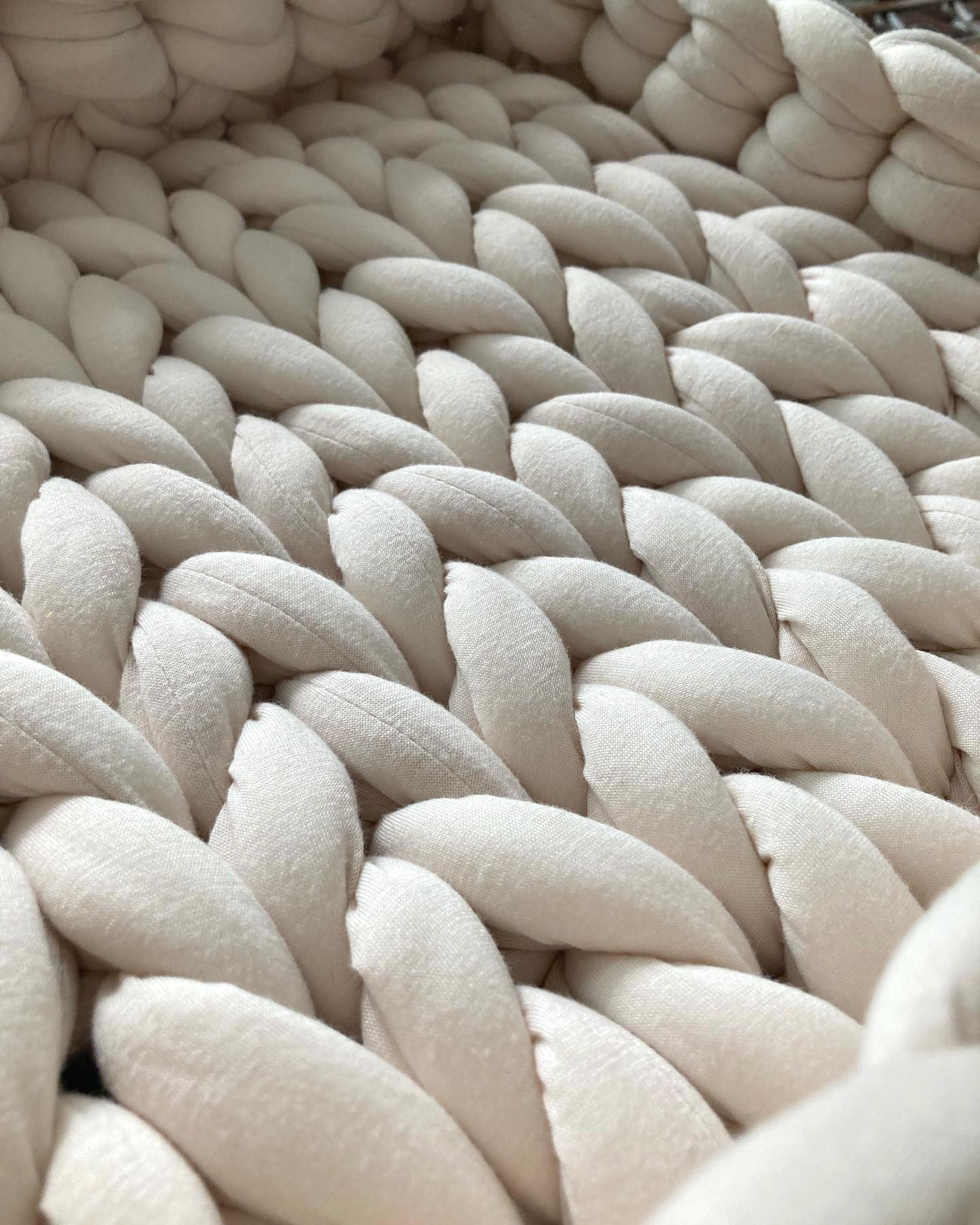 Toastbox // cotton pet bed