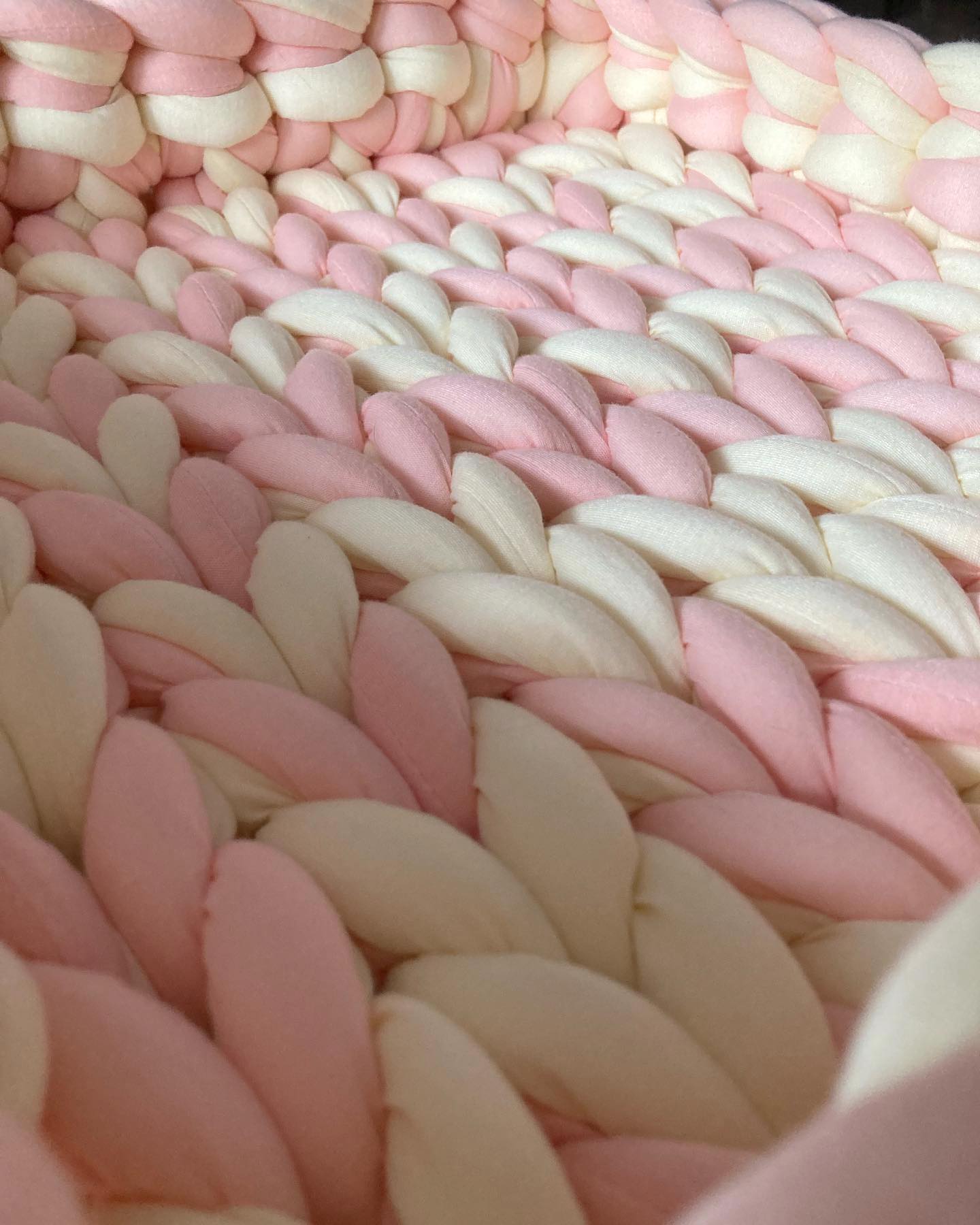 Toastbox // cotton pet bed