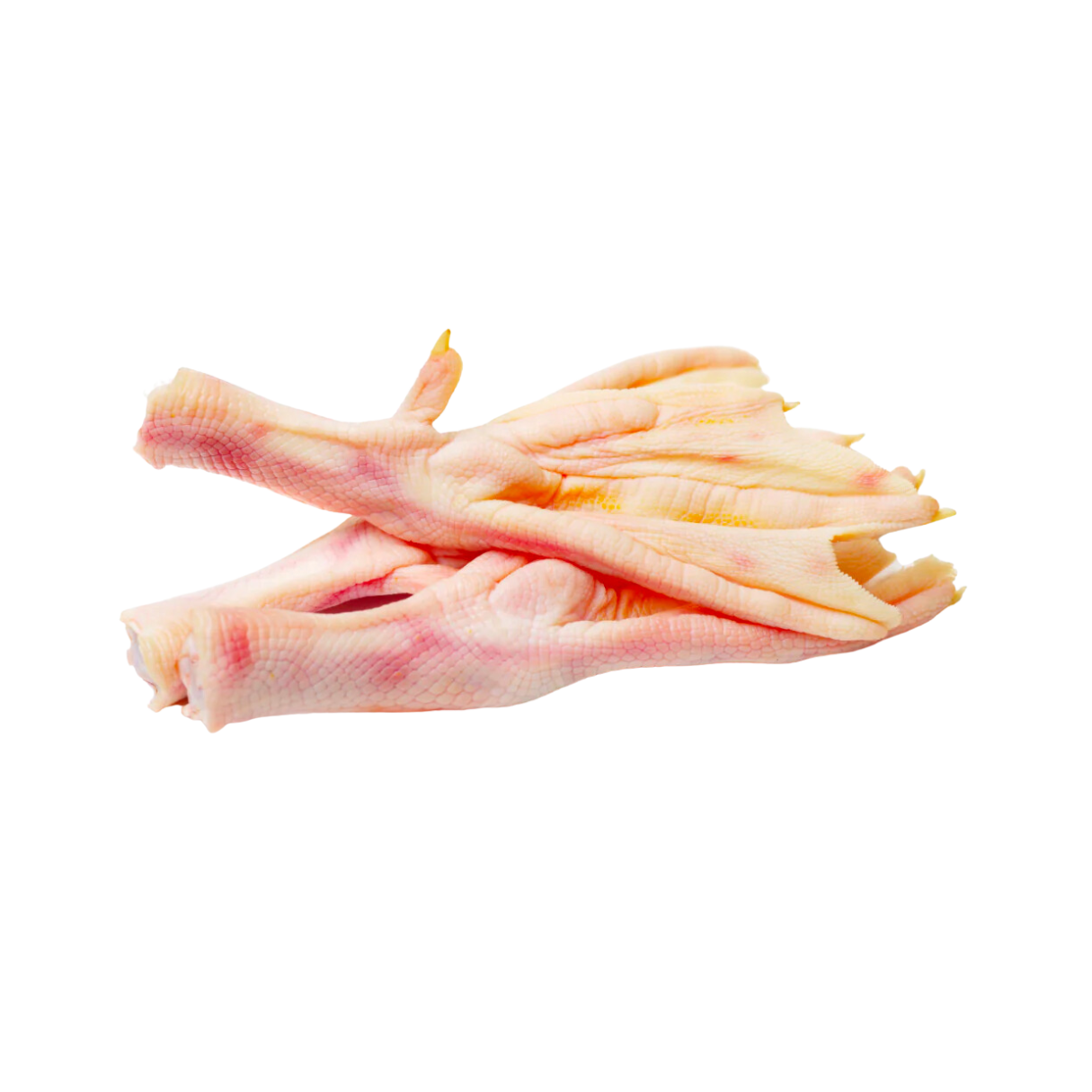 Duck Feet (per g) // RAW