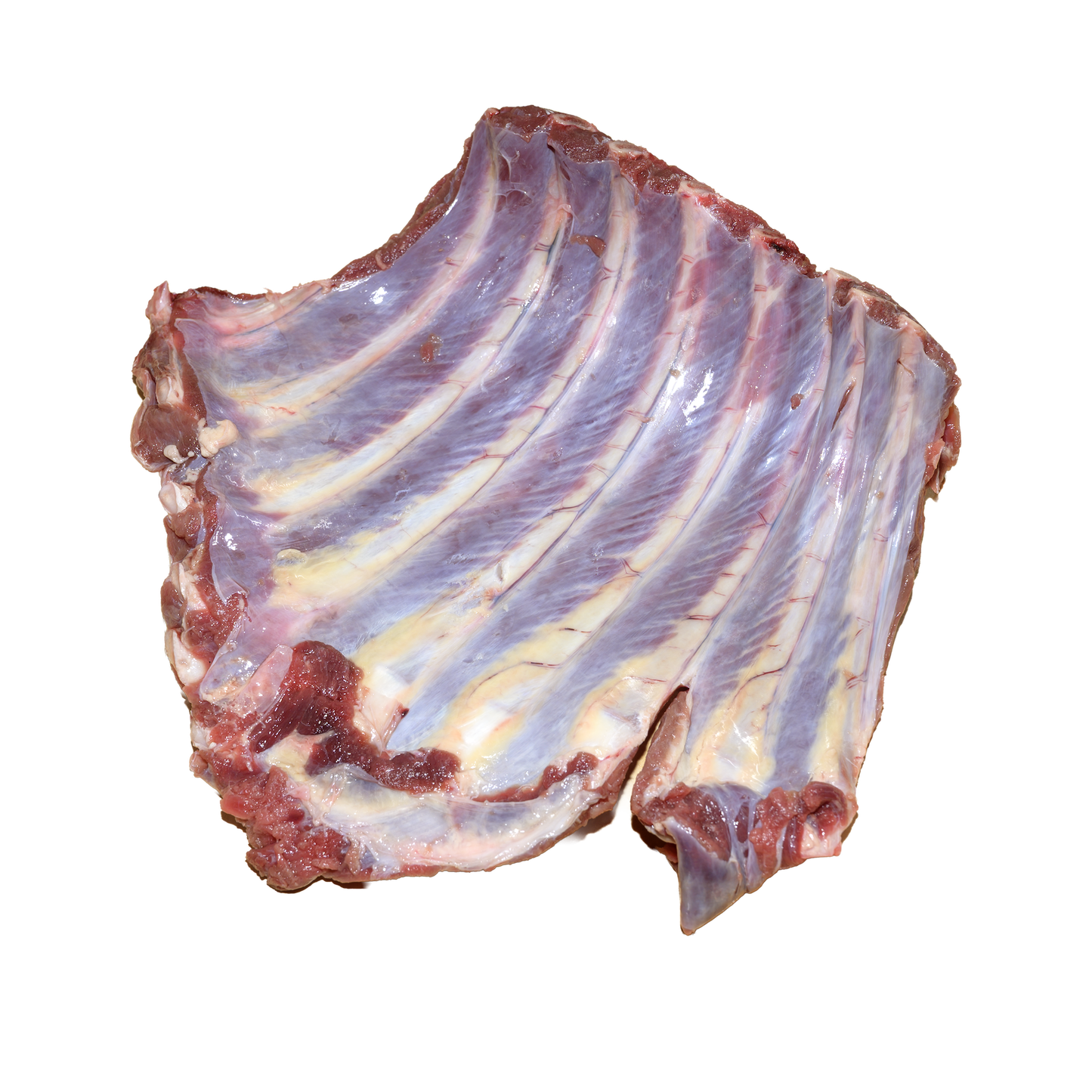 Kangaroo Ribs (per g) // RAW