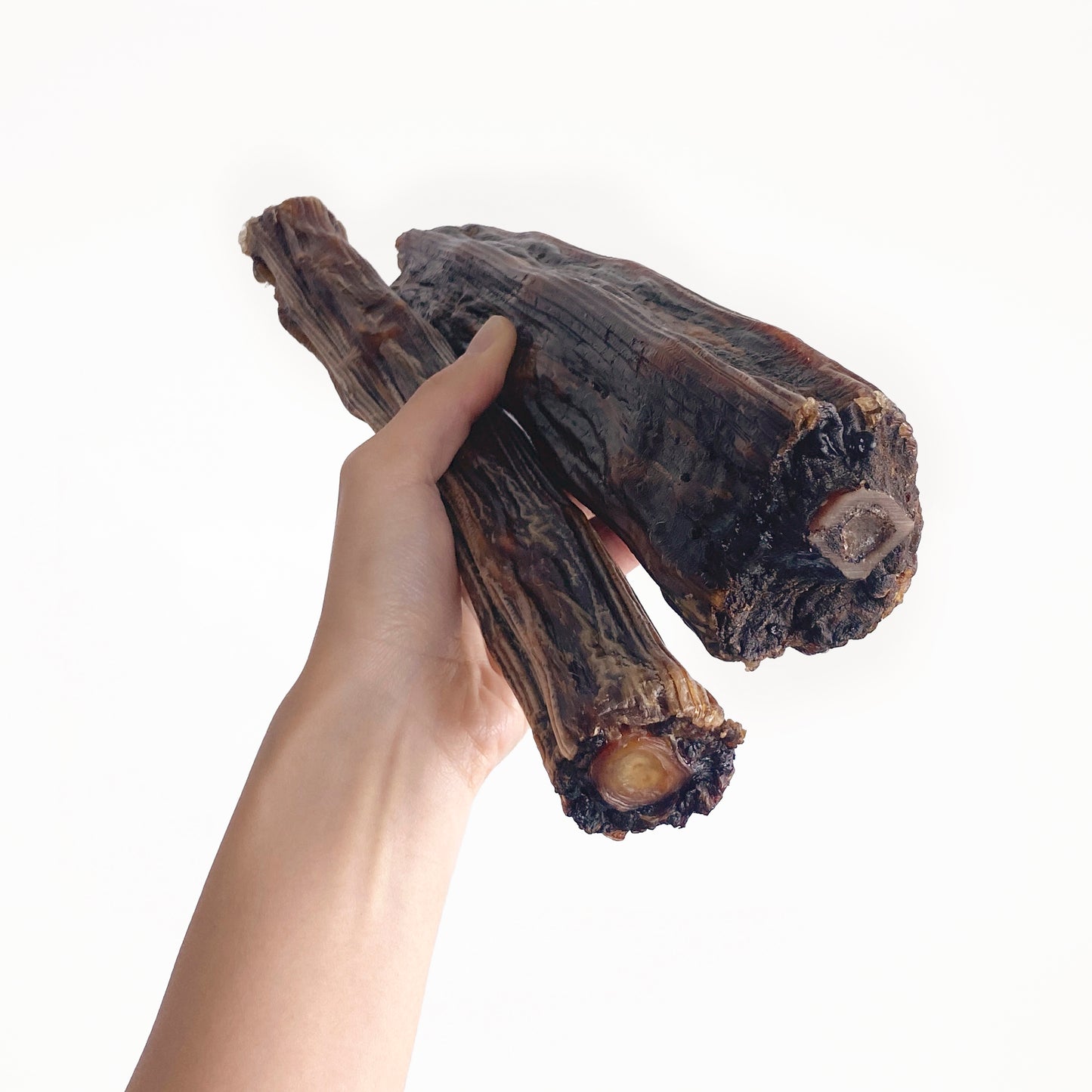 Kangaroo Tail // 拜拜你條尾