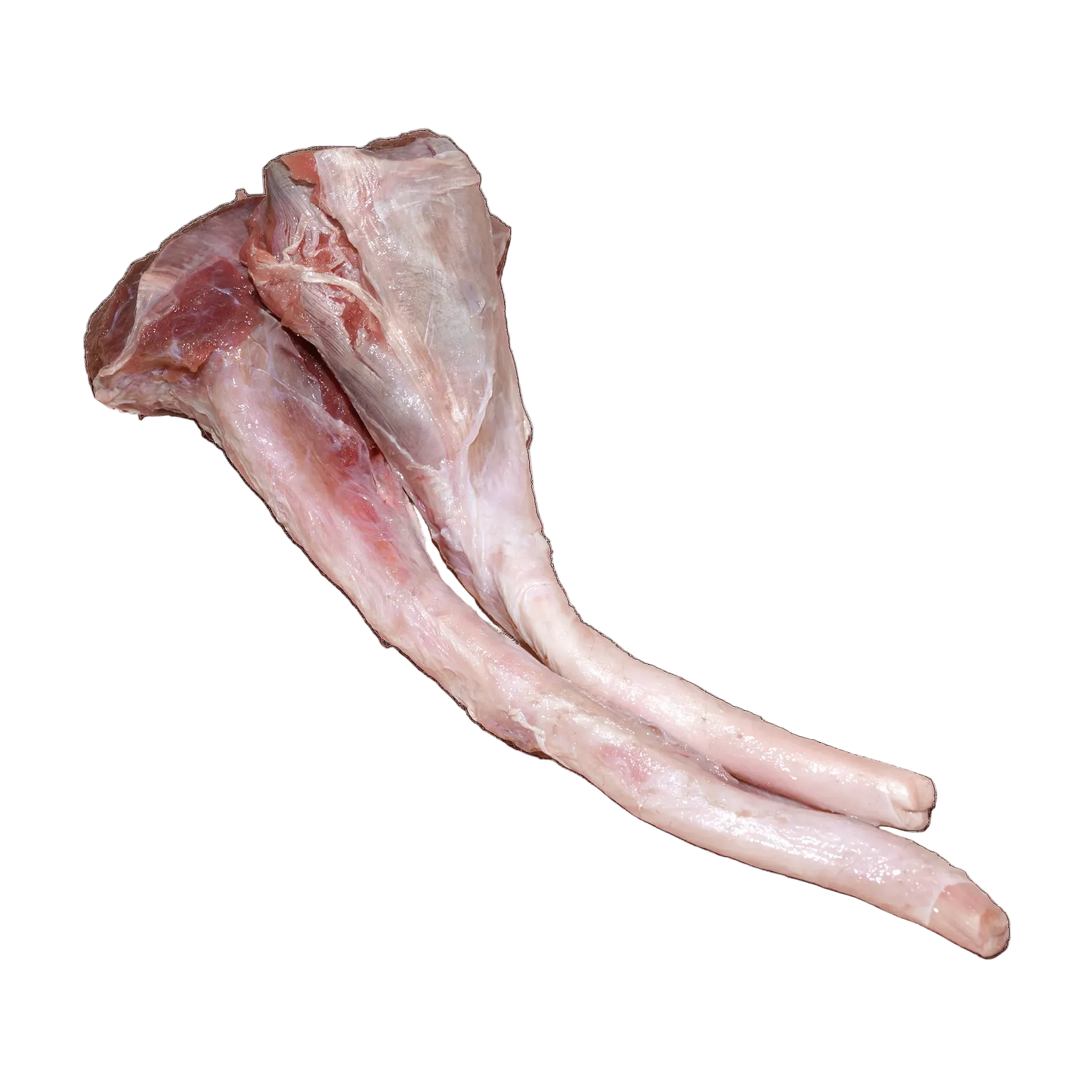 Kangaroo Tendons (per g) // RAW