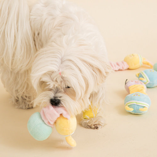 Stretchy Bear & Rabbit Toy