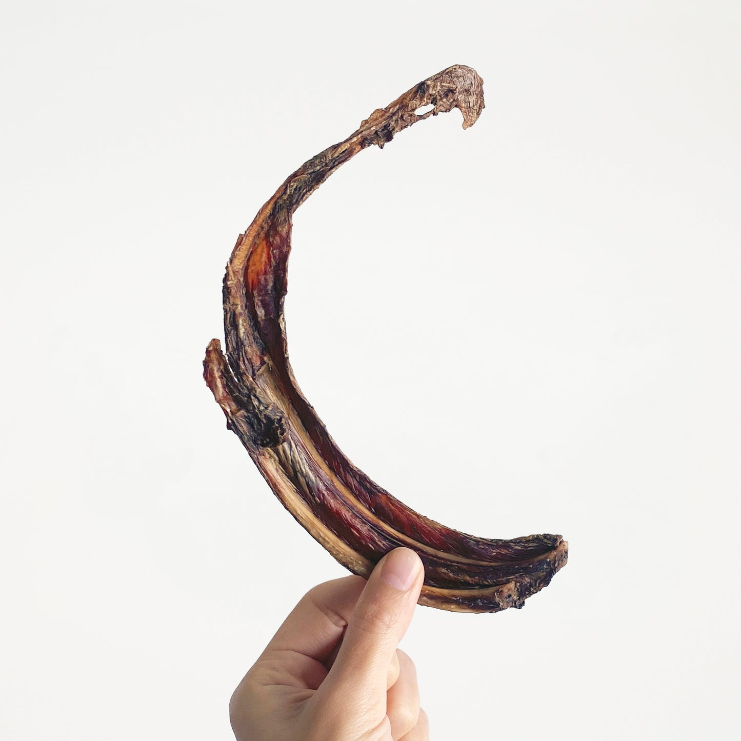 Kangaroo Ribs (per g) // 袋鼠肋骨(每克)