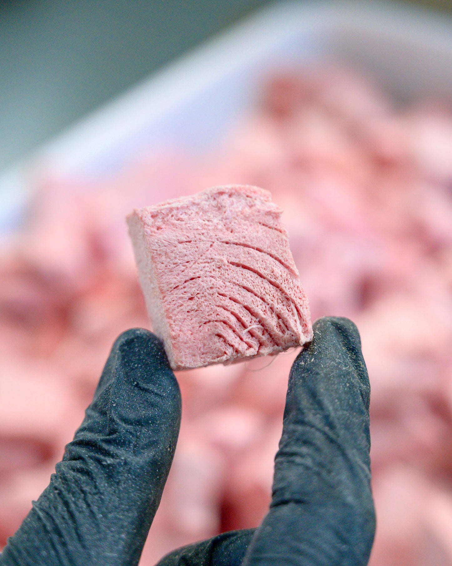 Chunky Tuna (per g) // 慢吞吞(每克)