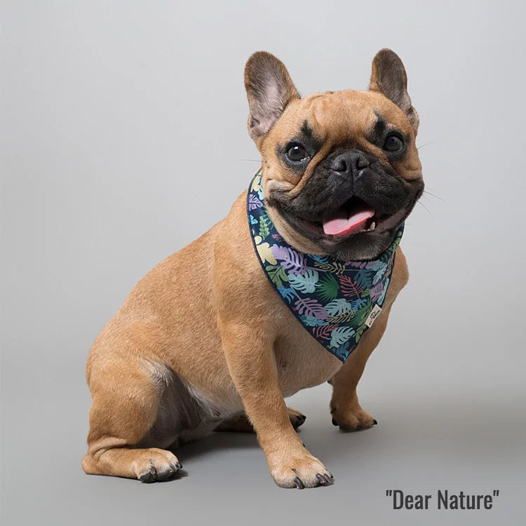 Dear Nature x Starry Night // bandana