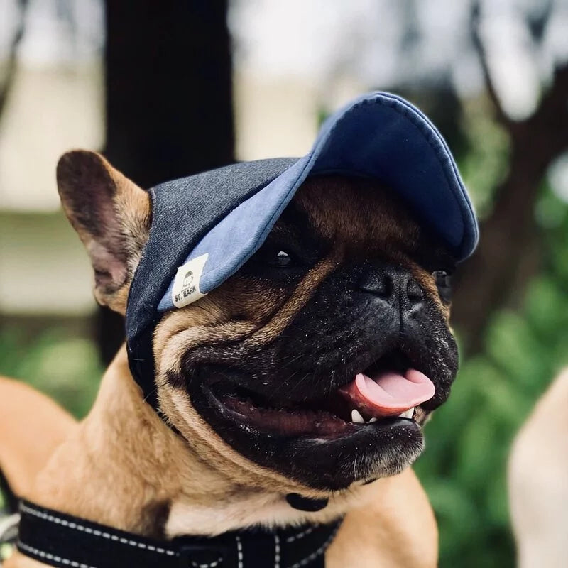 Two-tone Pawstel Blue Sky // dog hat