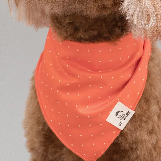 Orange Crush // bandana