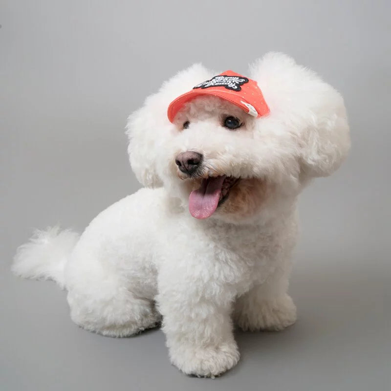 PUParazzi Orange // dog hat