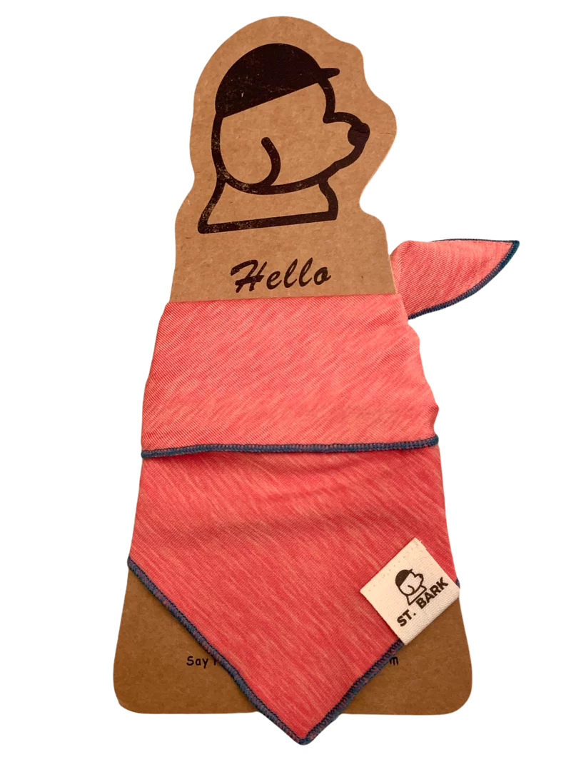 Coral Pink // bandana