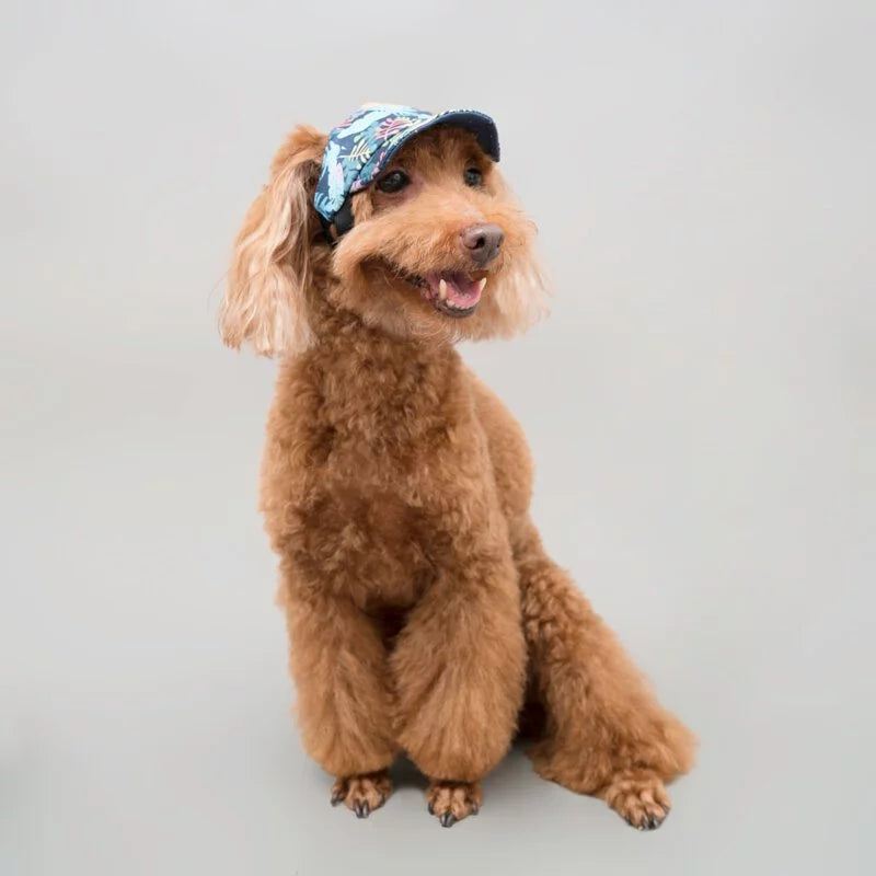 Dear Nature // dog hat