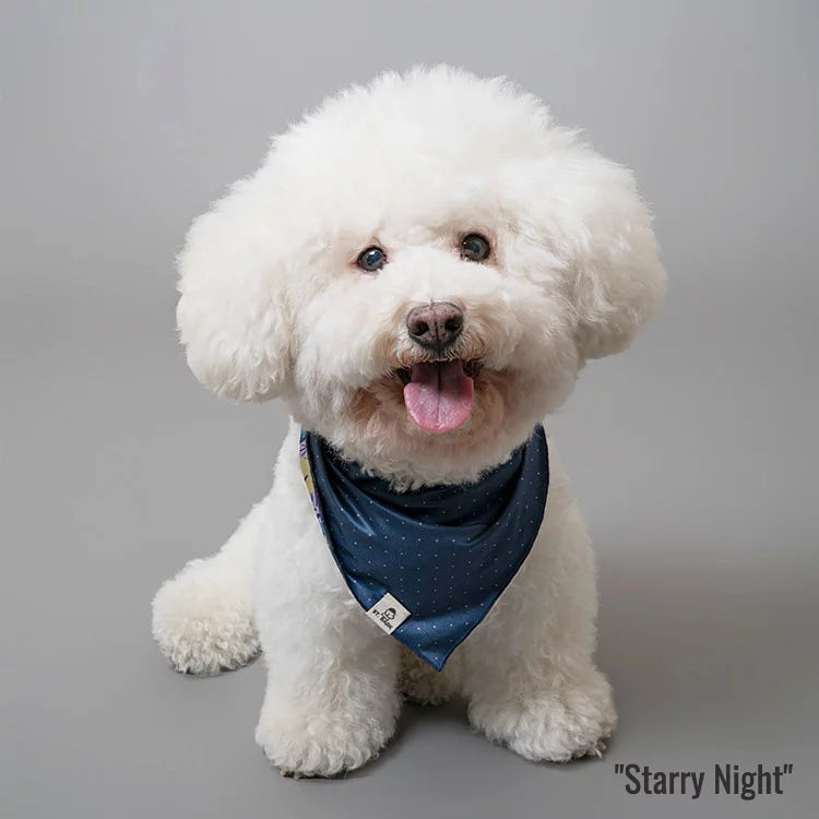 Dear Nature x Starry Night // bandana