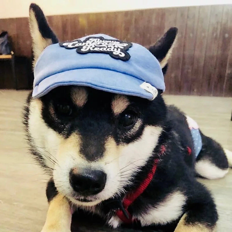 Two-tone Pawstel Blue Sky // dog hat