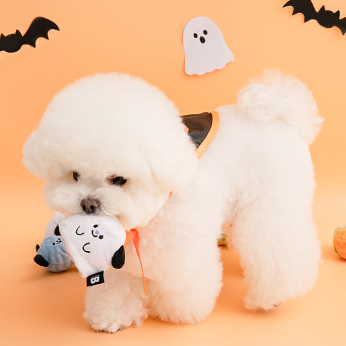 HAPPY HALLOWEEN // ball toy