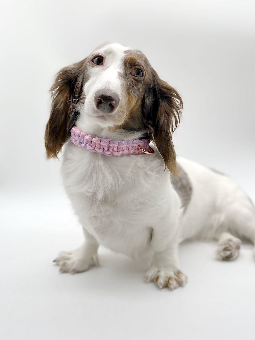 UNICORN MACRAME // adjustable collar