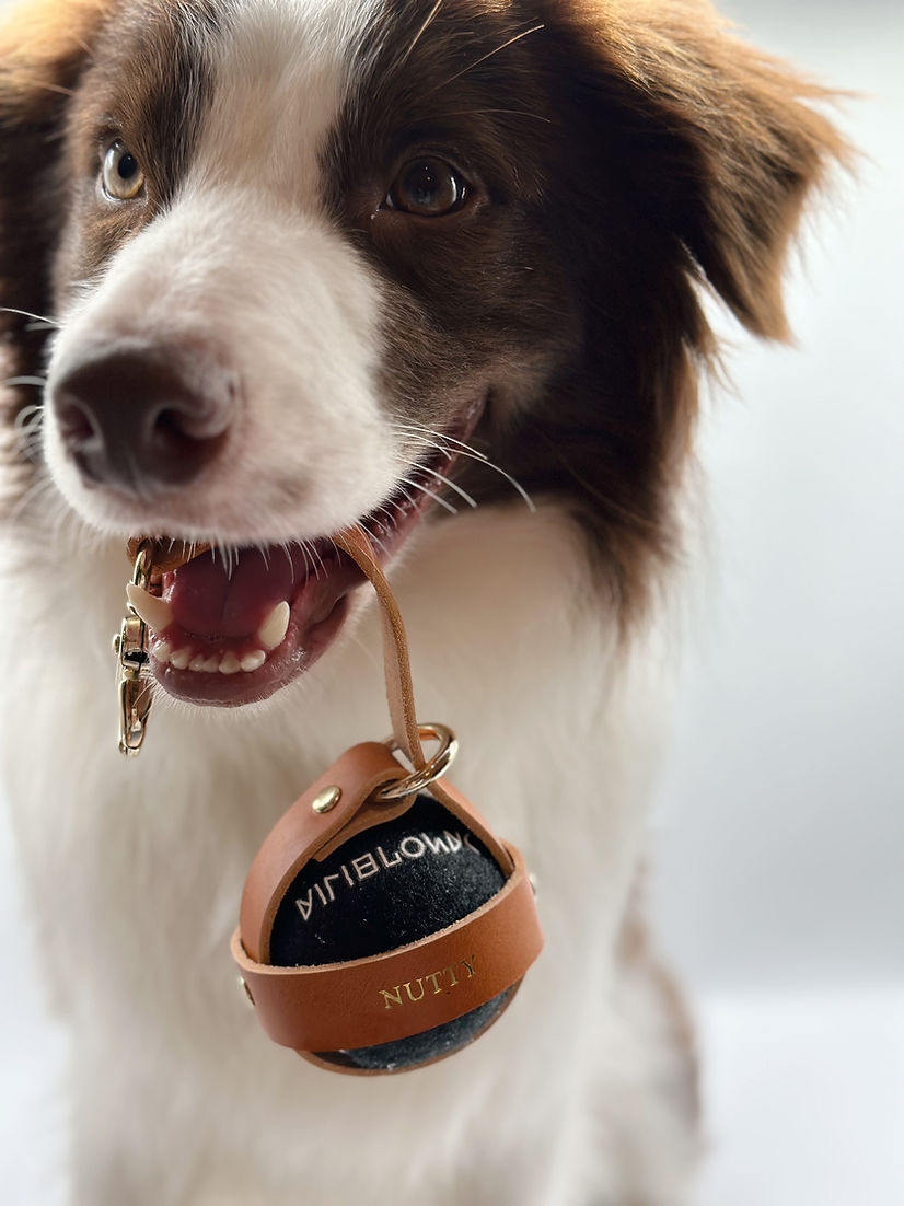 Tennis Ball Holder