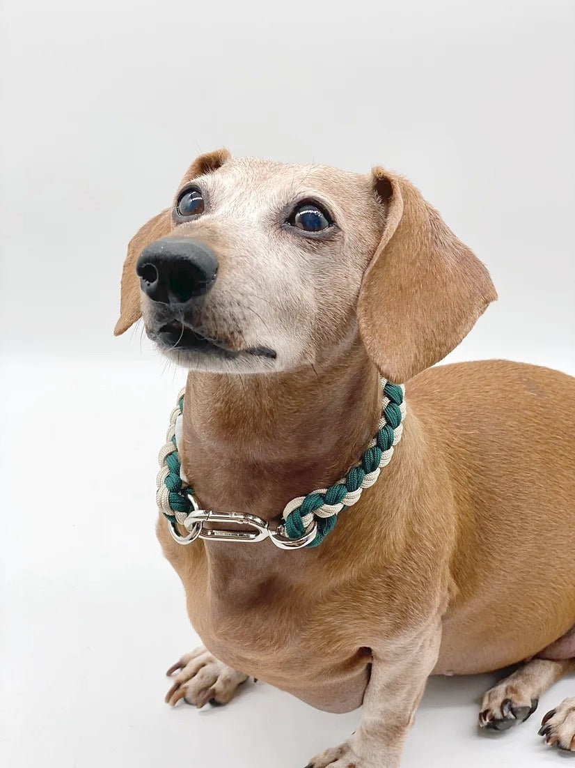 TELUM // flat collar