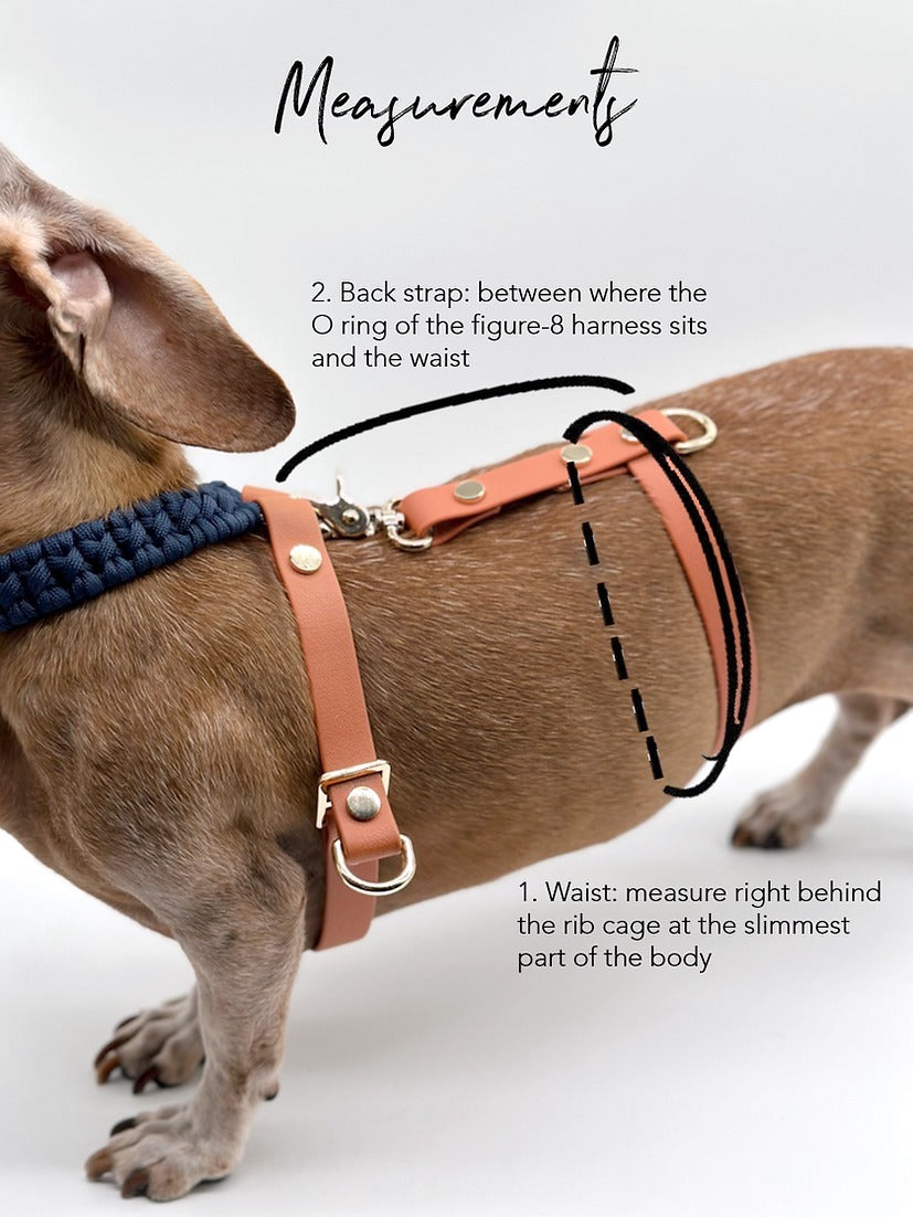 PVC waist strap // escape resistant add-on