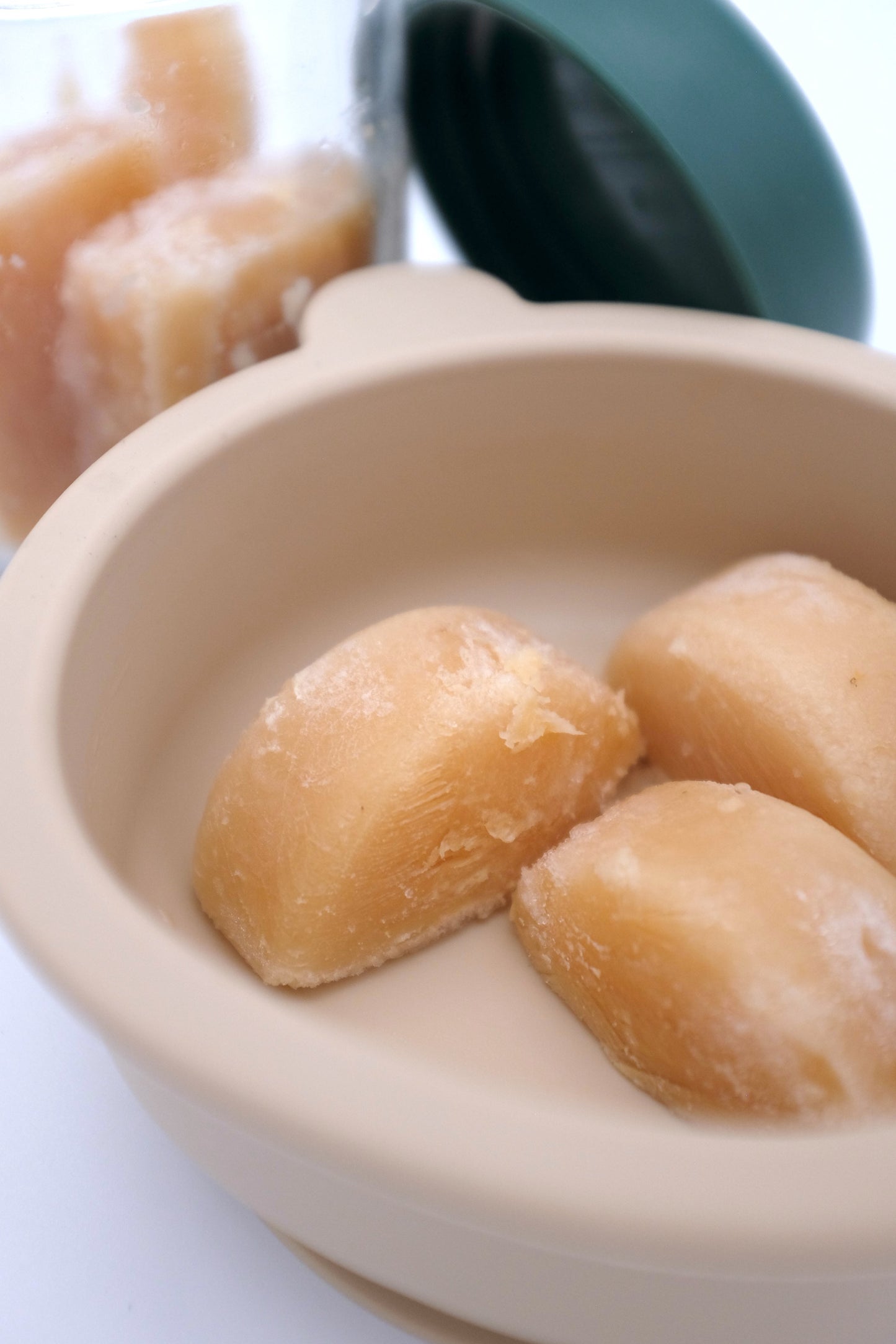 Crocodile Bone Broth // 鱷魚濃湯