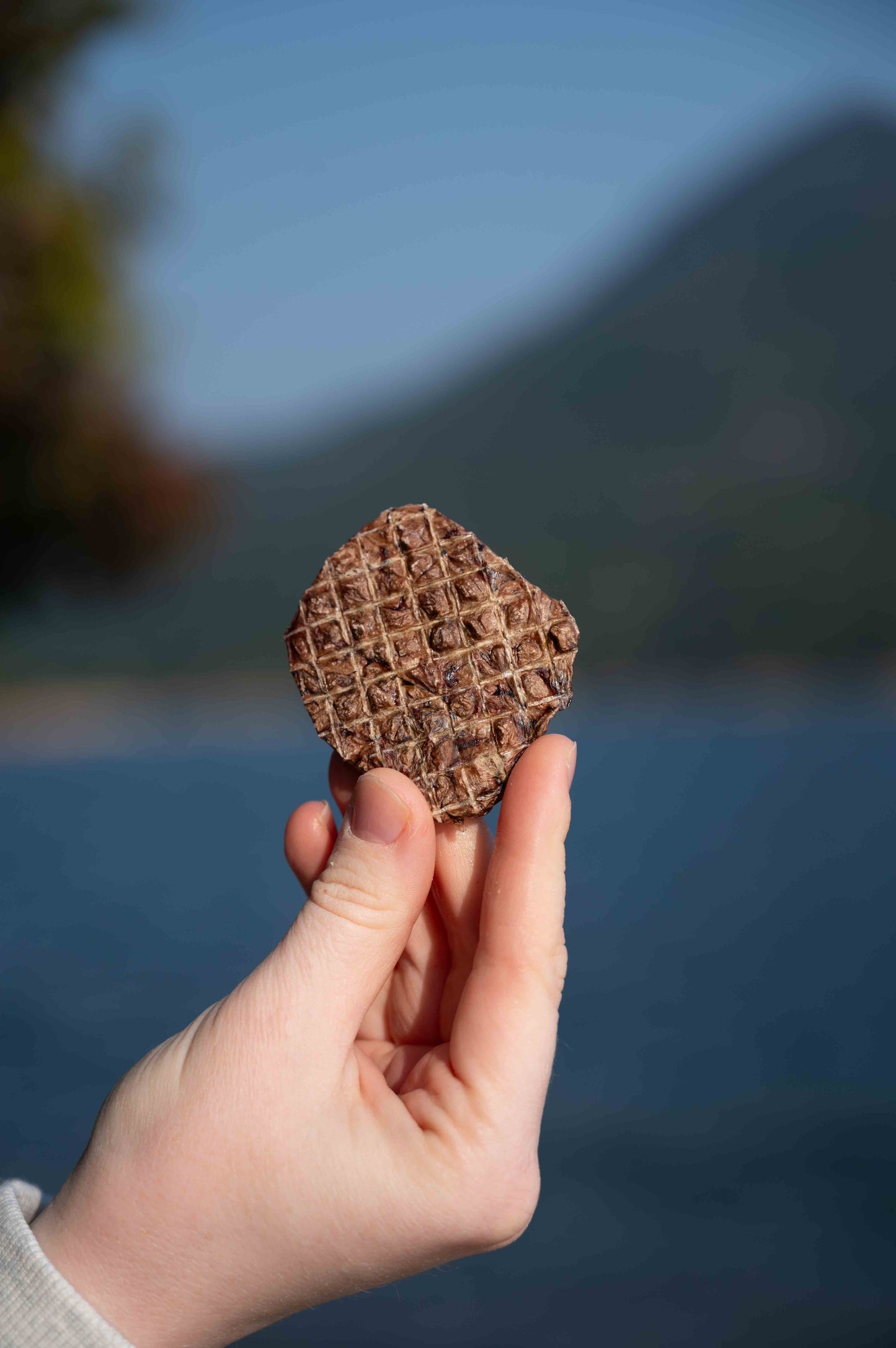 Beef Lung Pops (per g) // 肺事睬你 (每克)