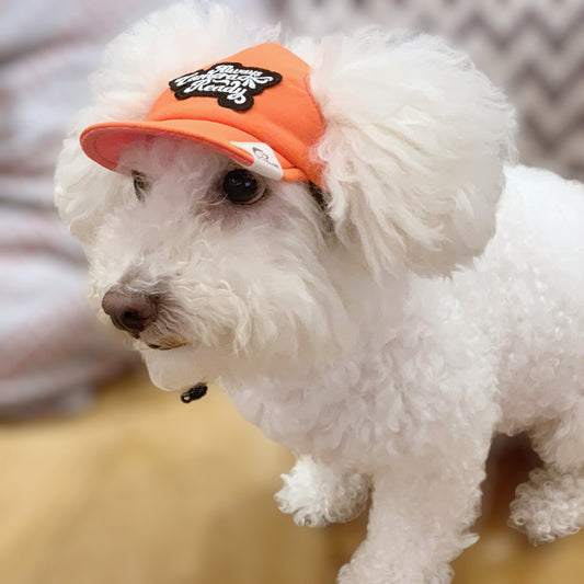 Happy Tangerine x Coral Pink // dog hat