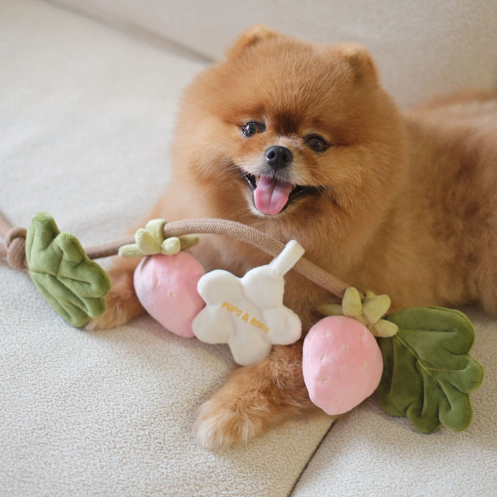 STRAWBERRY VINE // tug toy