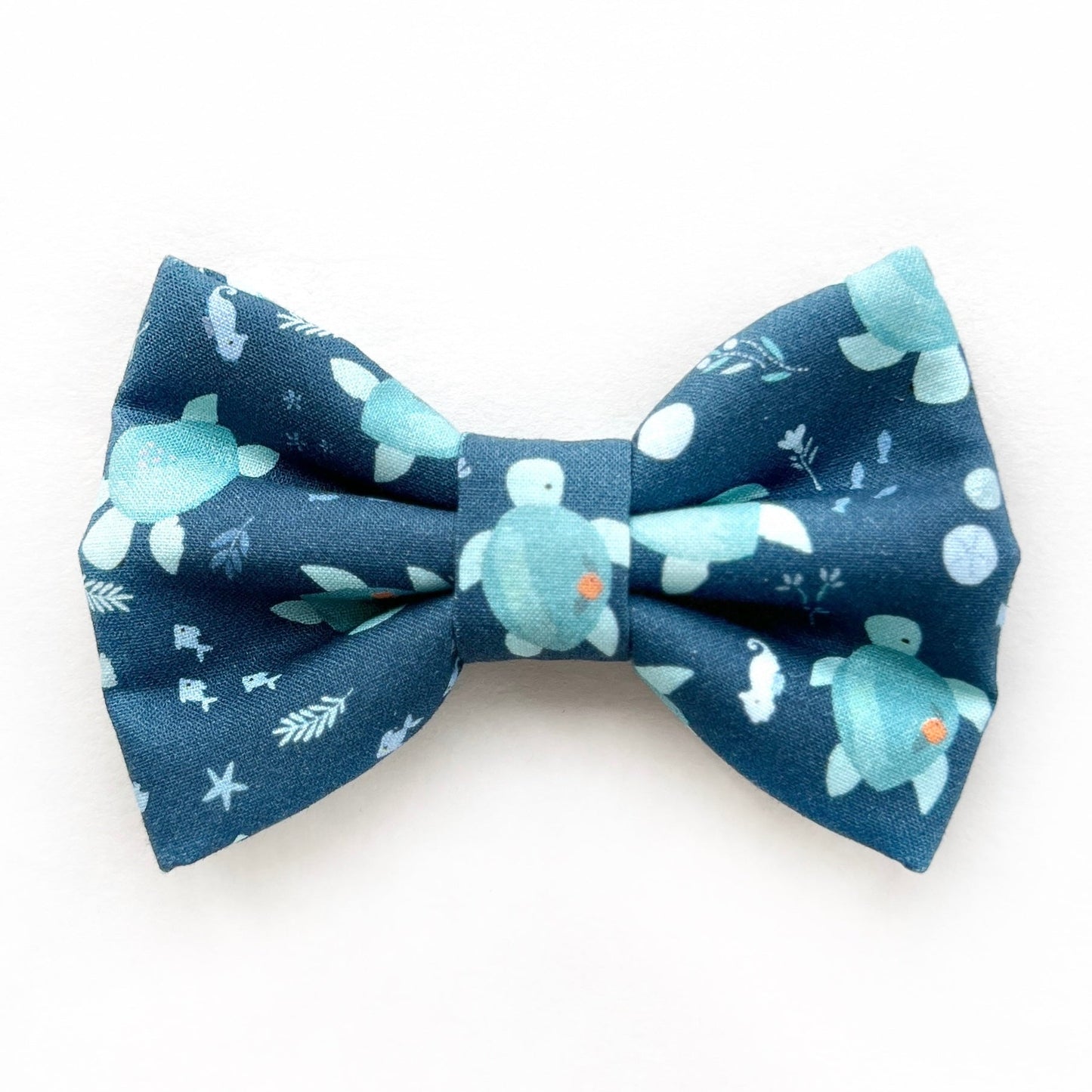 SEA TURTLES // bow