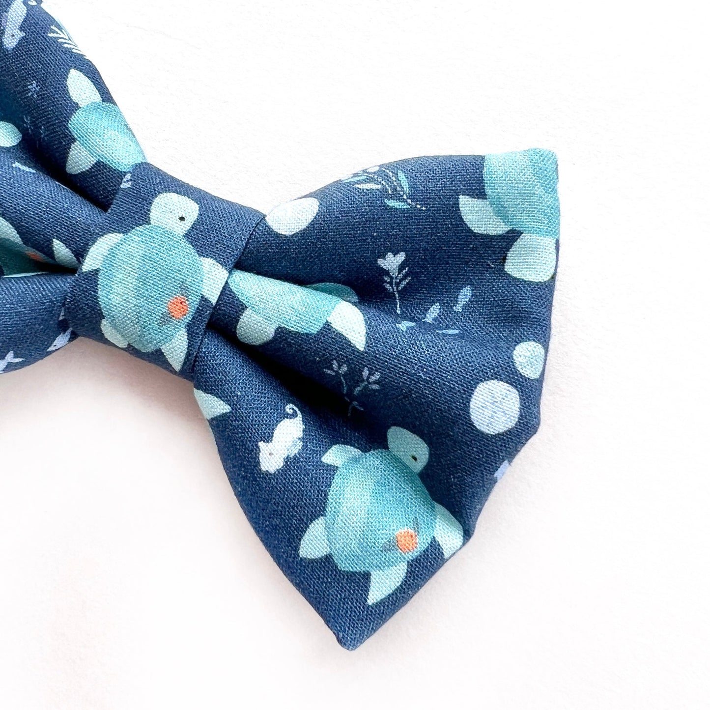 SEA TURTLES // bow