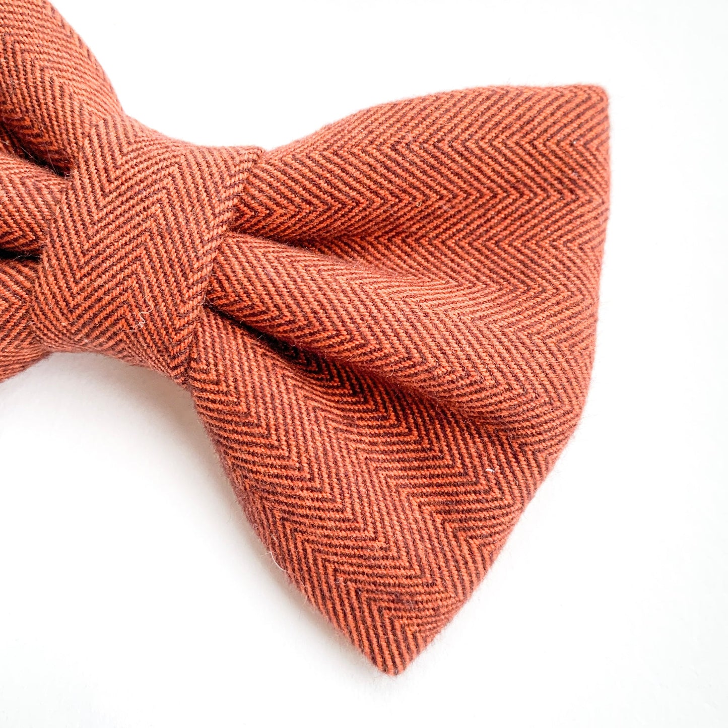 HARRIETTE // bow