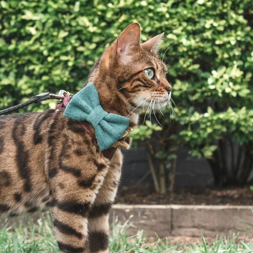 HERRINGBONE FLANNEL HARRISON // bow