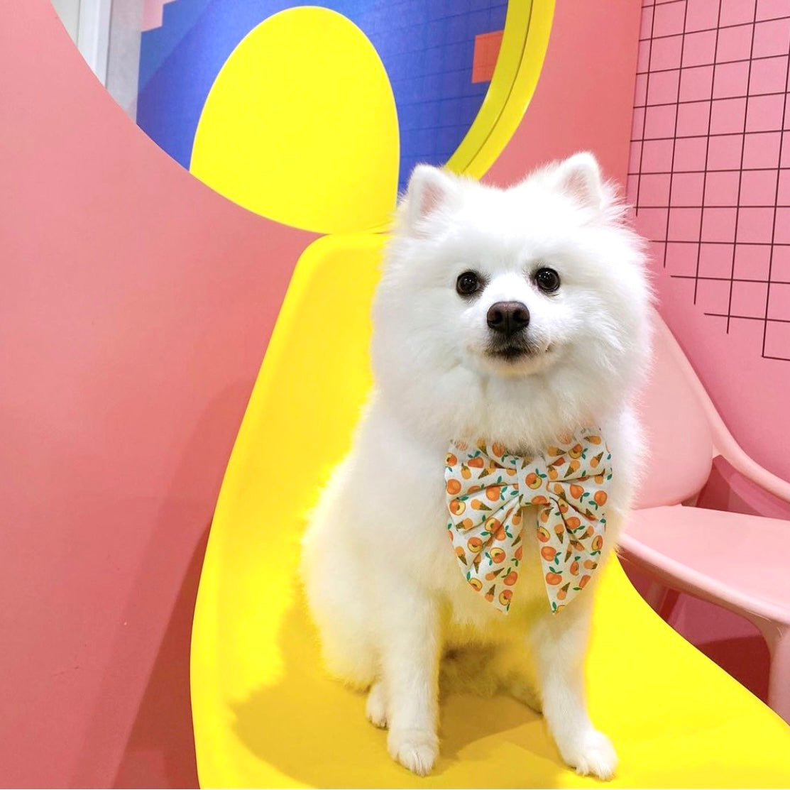 PEACHY CONE // bandana