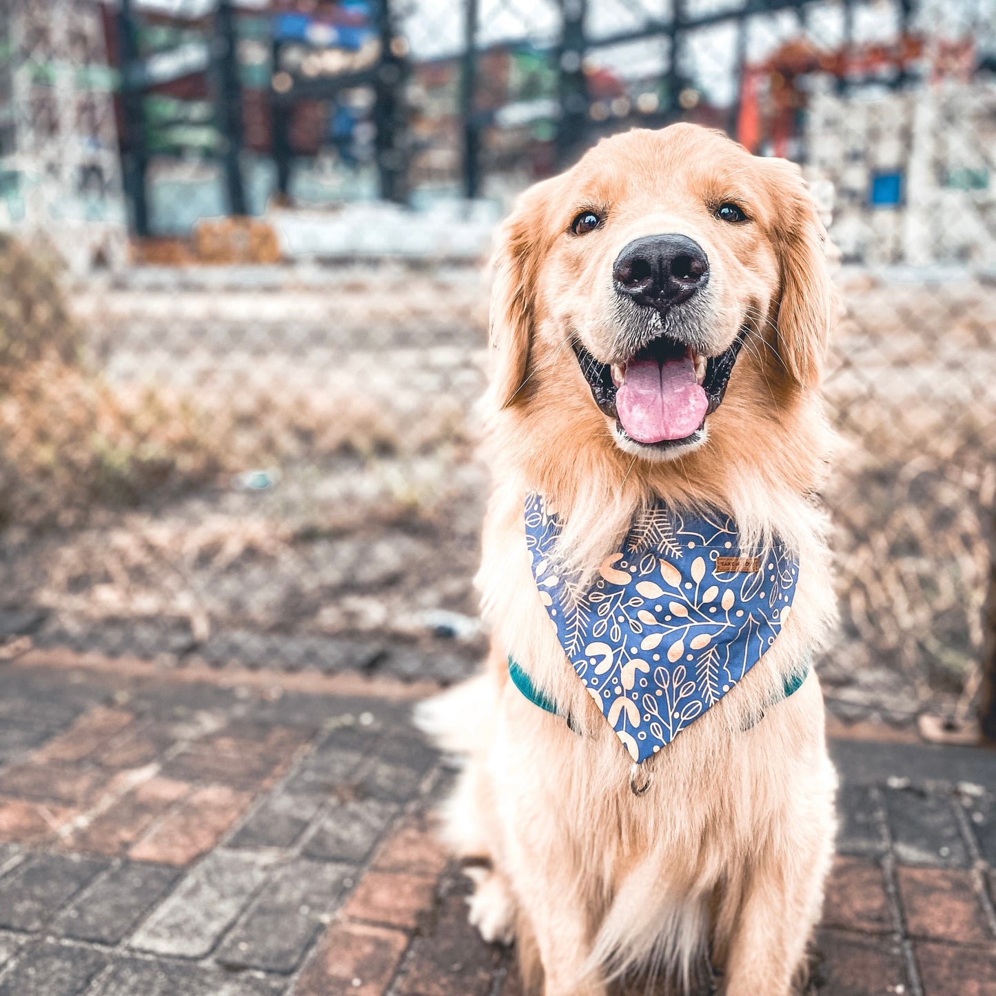 GOLDEN LEAF // bandana