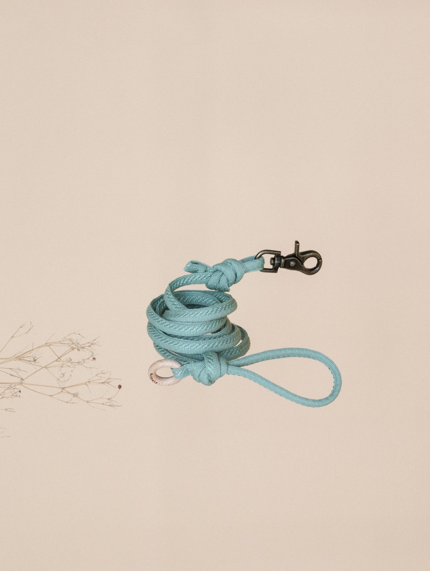 FIÏN // regular leash