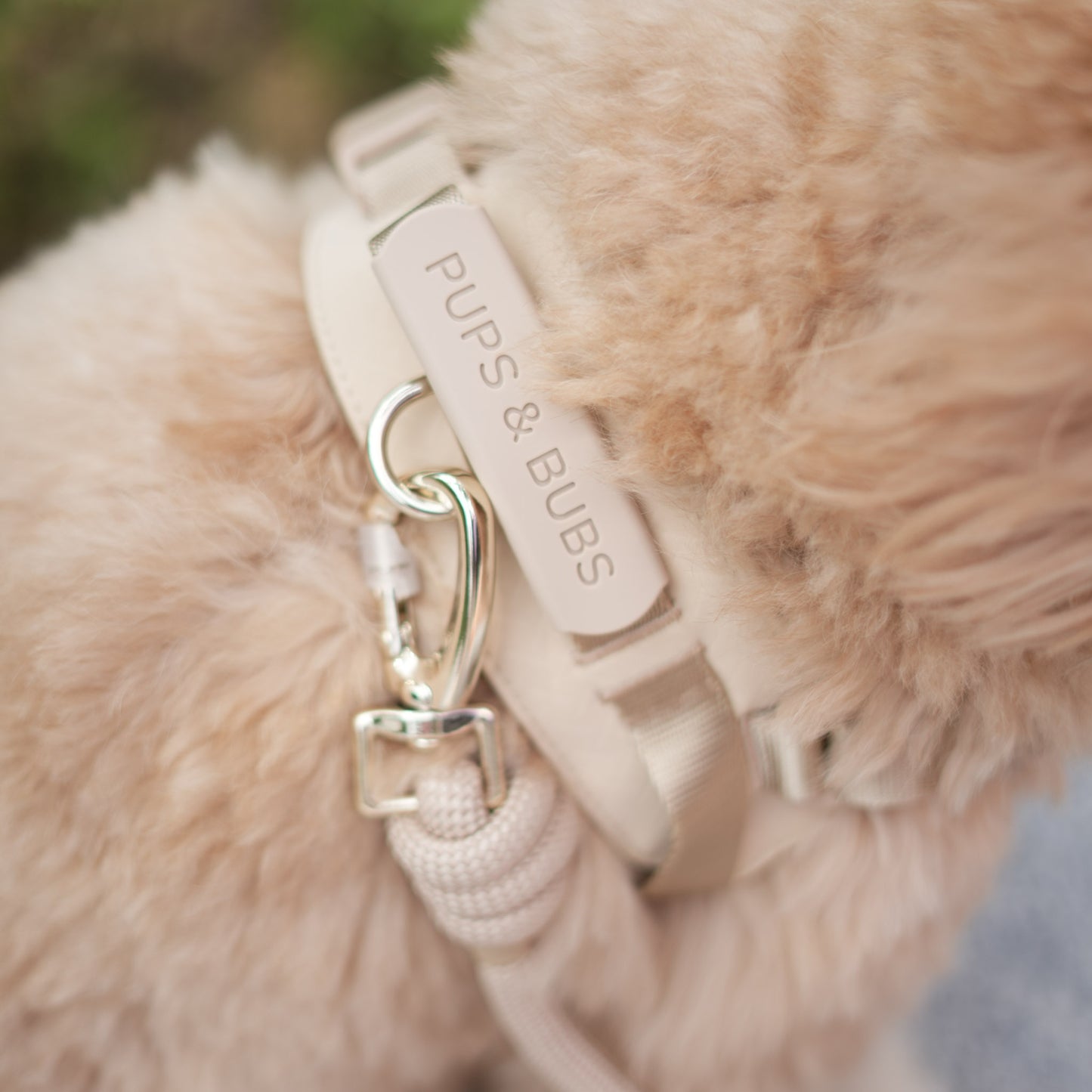 ROVER // harness