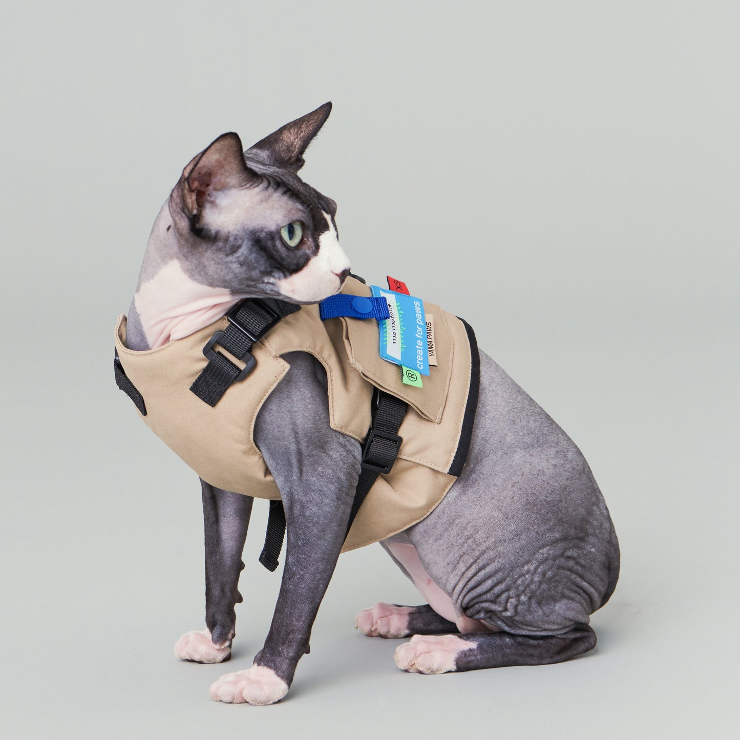 CEDAR // harness jacket