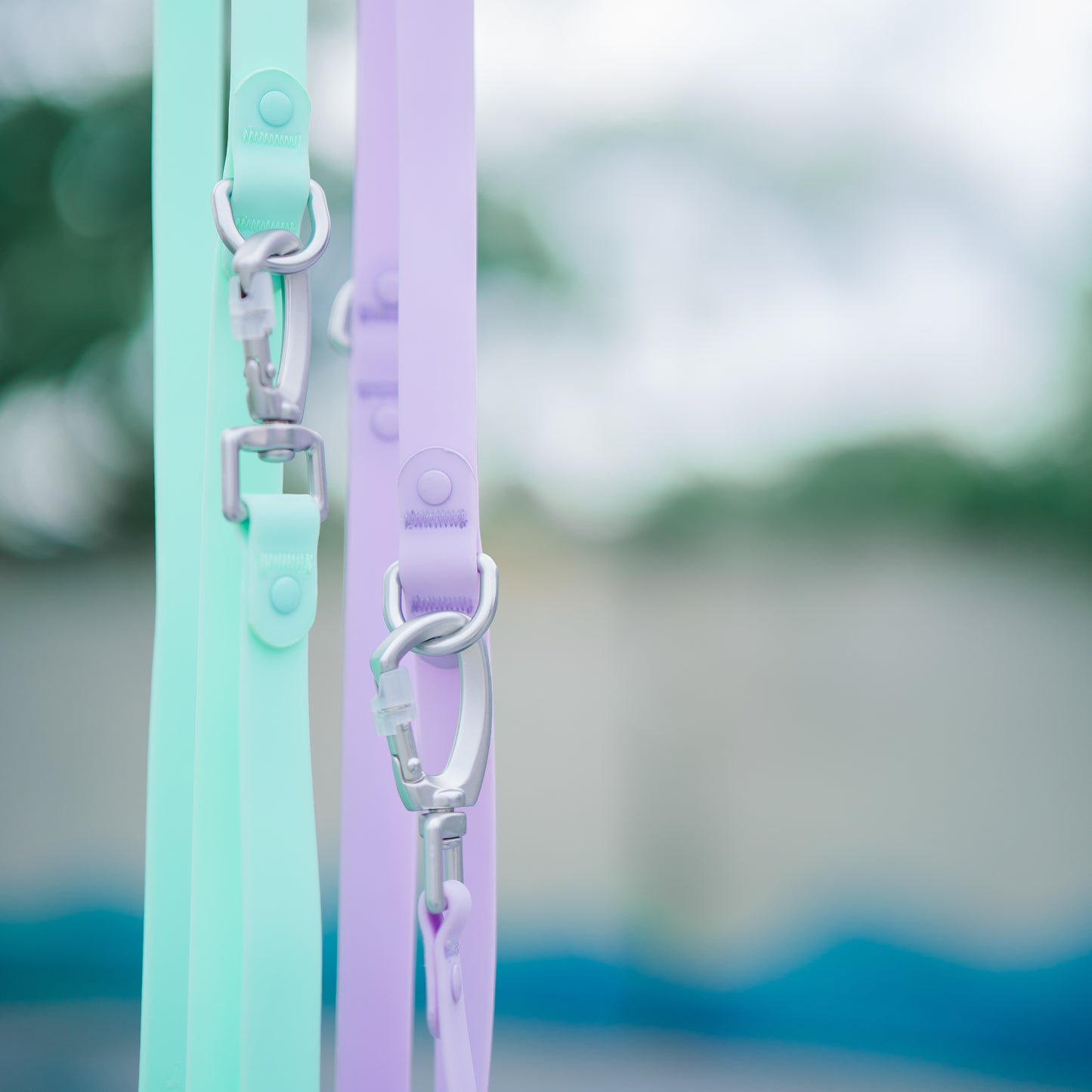 ROAM // crossbody leash