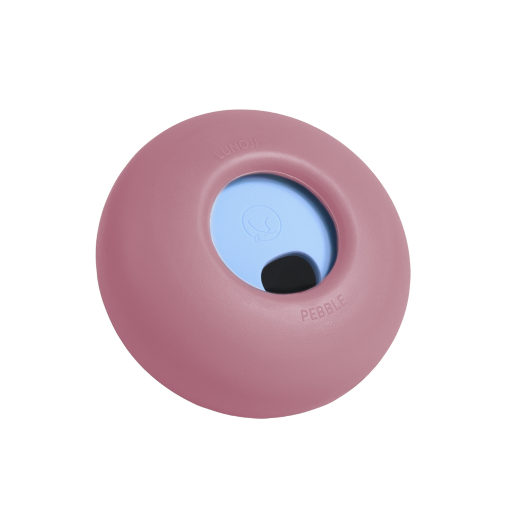 PEBBLE // enrichment toy