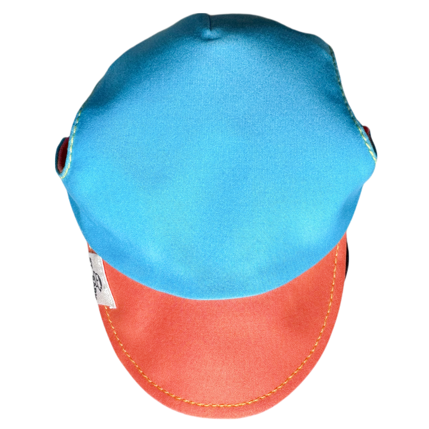 Happy Tangerine x Oceana Blue // dog hat
