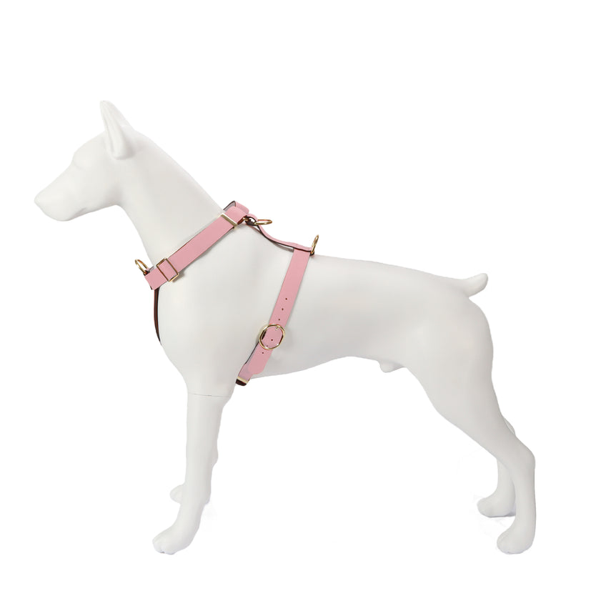 Handcrafted Leather Harness