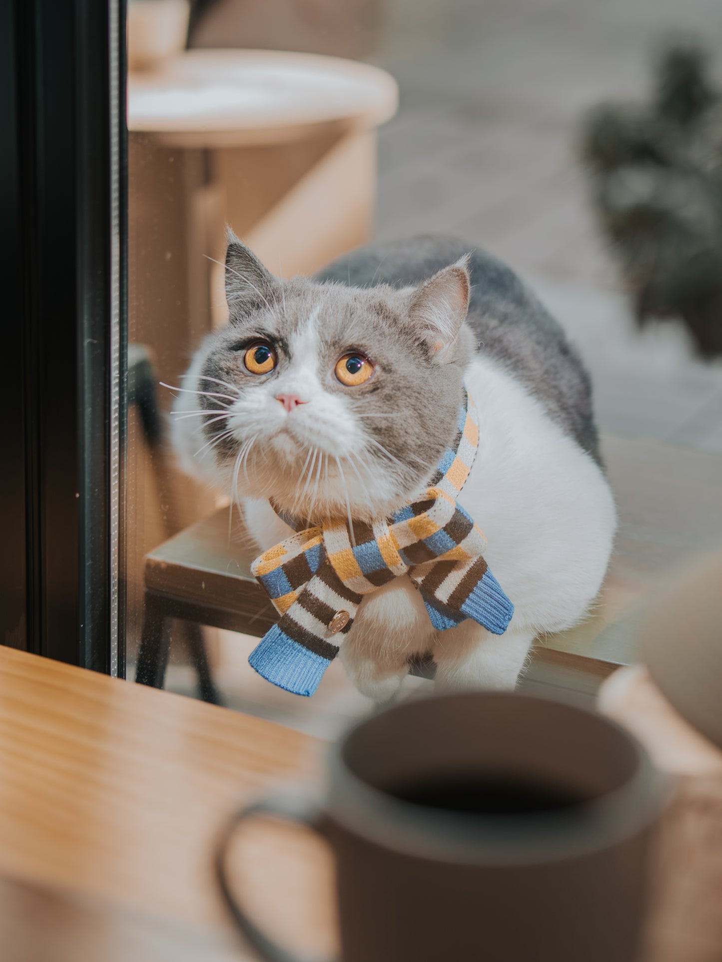 CHECKERED SCARF // pet & hooman scarf