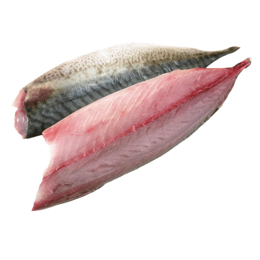 Mackerel (Per g) // RAW