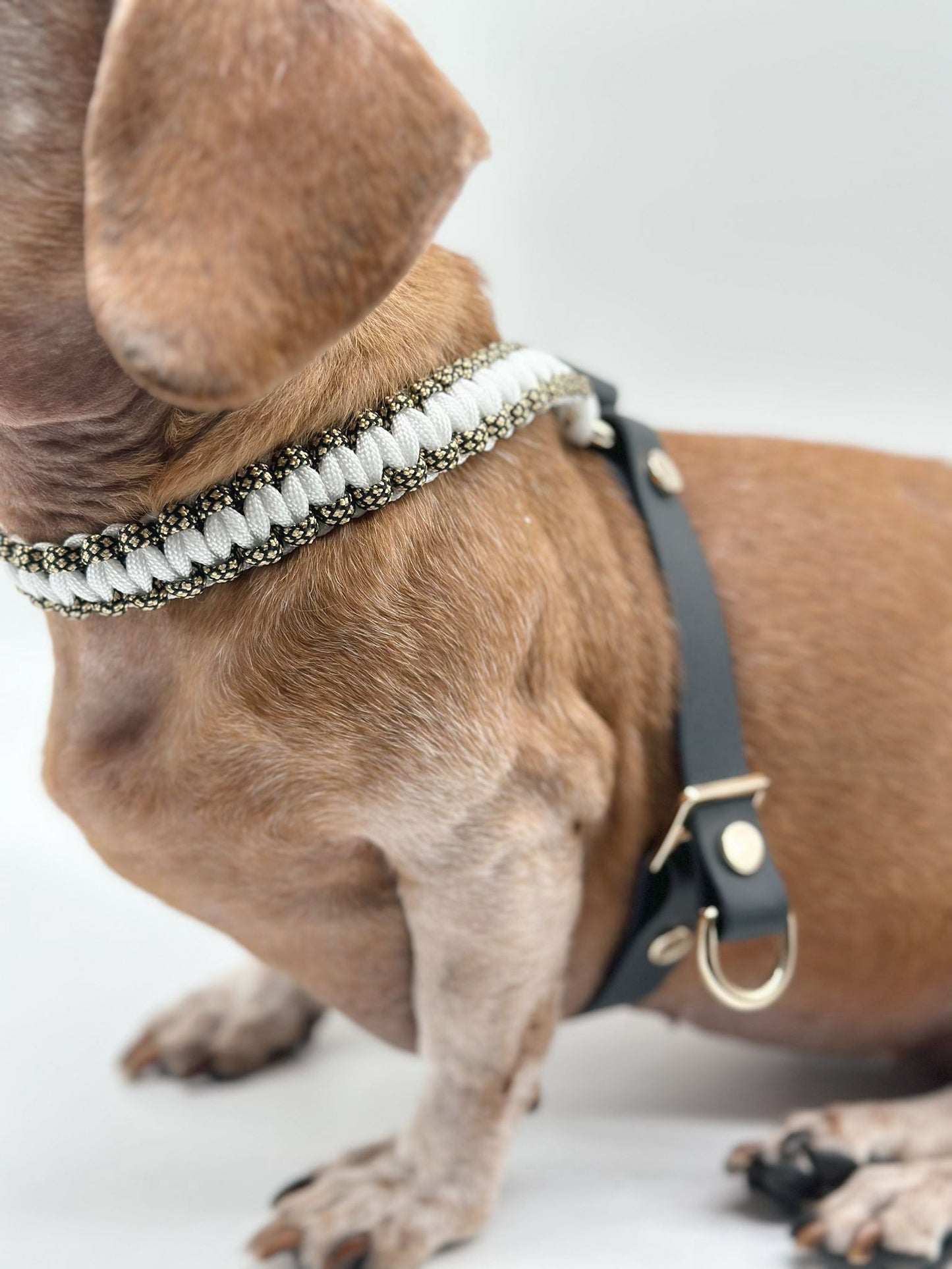 APRICUS // figure-8 harness