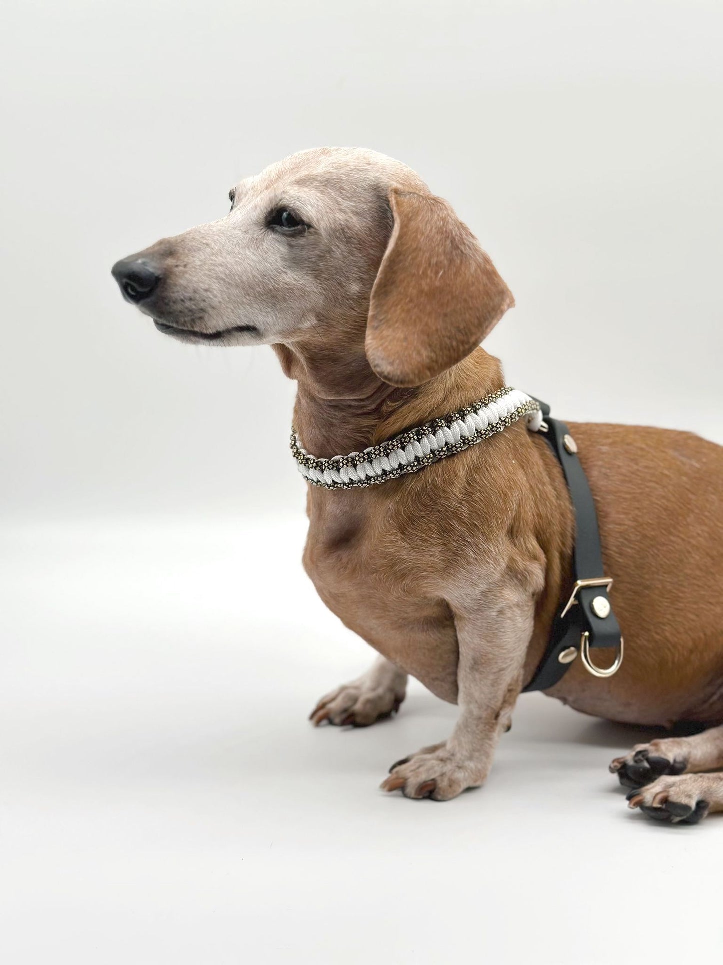 APRICUS // figure-8 harness